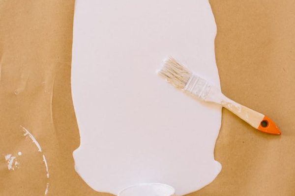 pexels-n-voitkevich-5641681